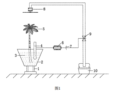 放射性污染土壤治理的植物修復系統的示意圖